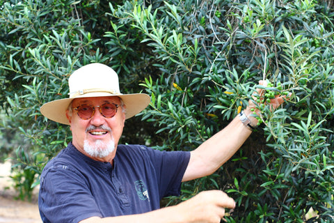 Chcete vědět, kde se pěstují raw olivy pro Lifefood?
